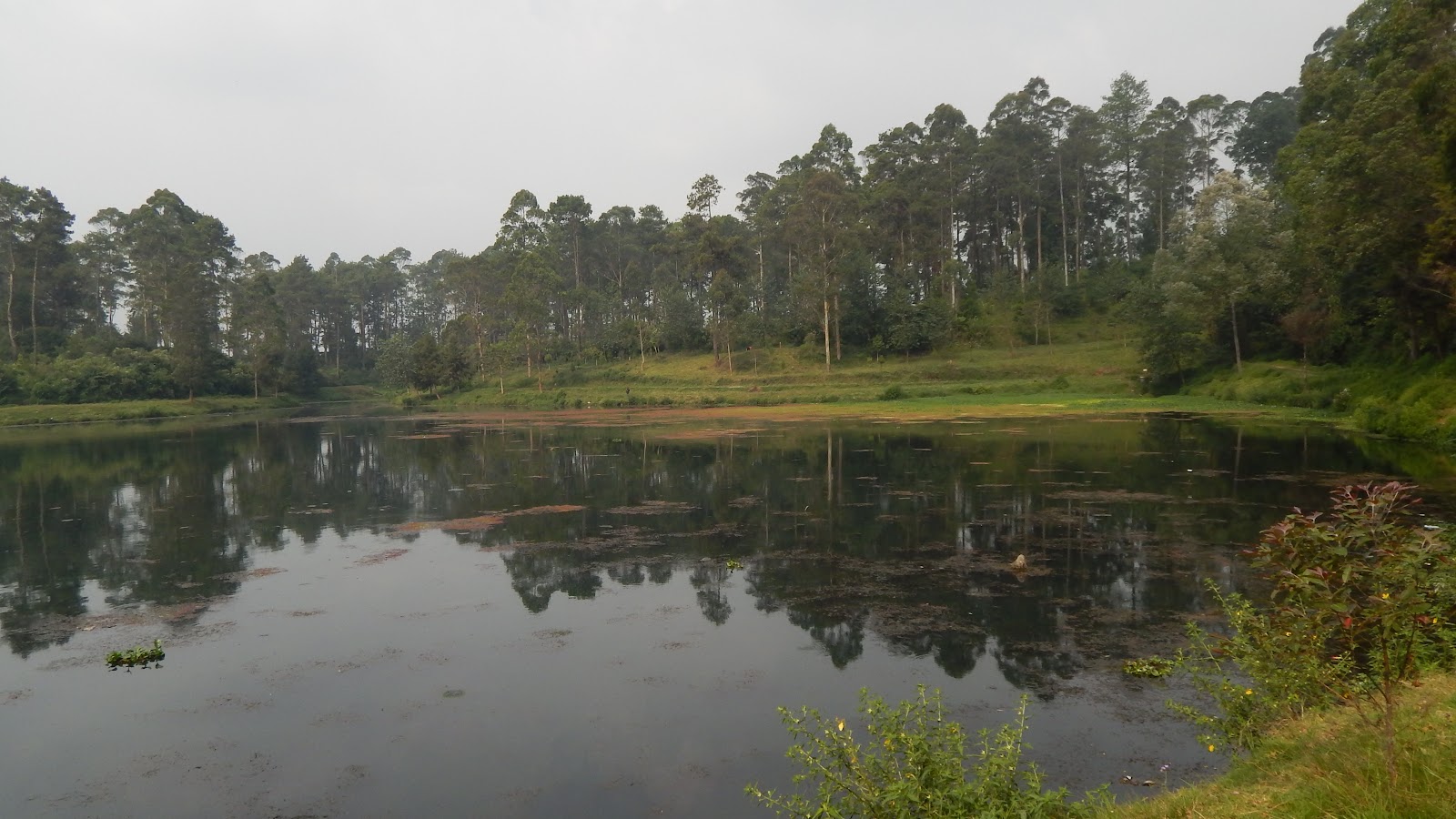 DSCN8247.JPG