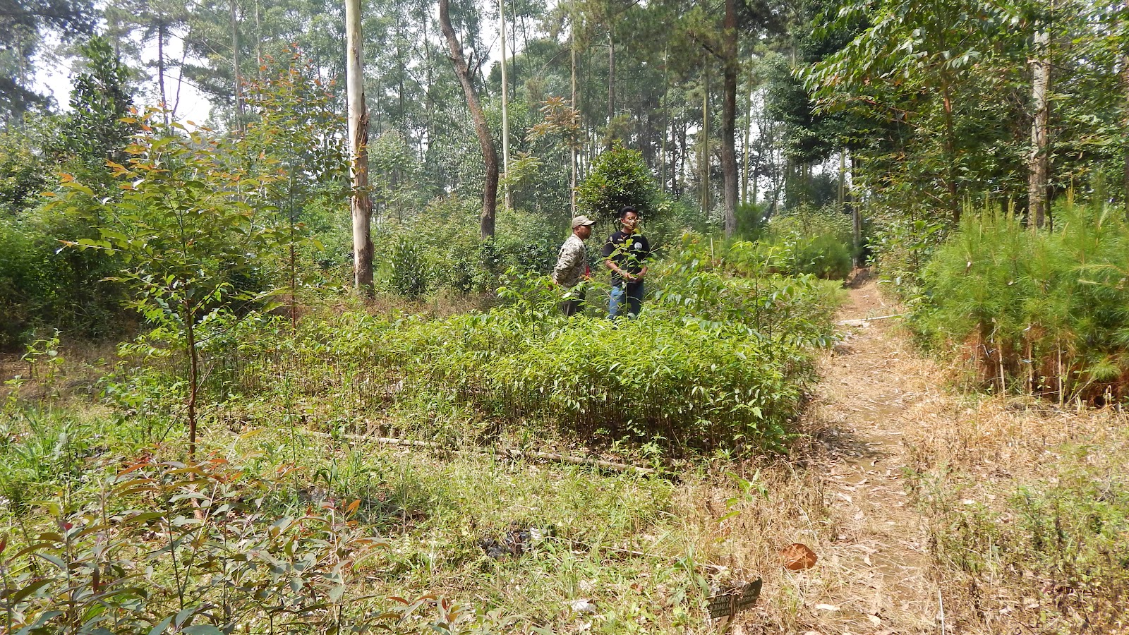 DSCN8116.JPG