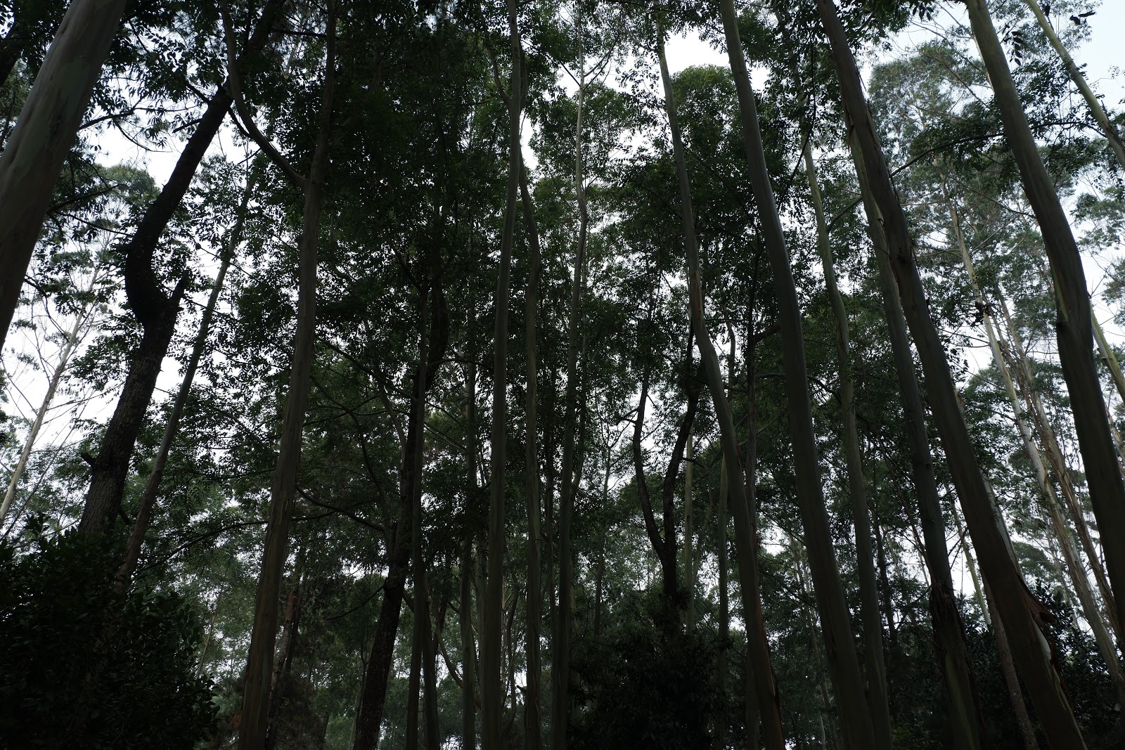 DSCF4897.JPG