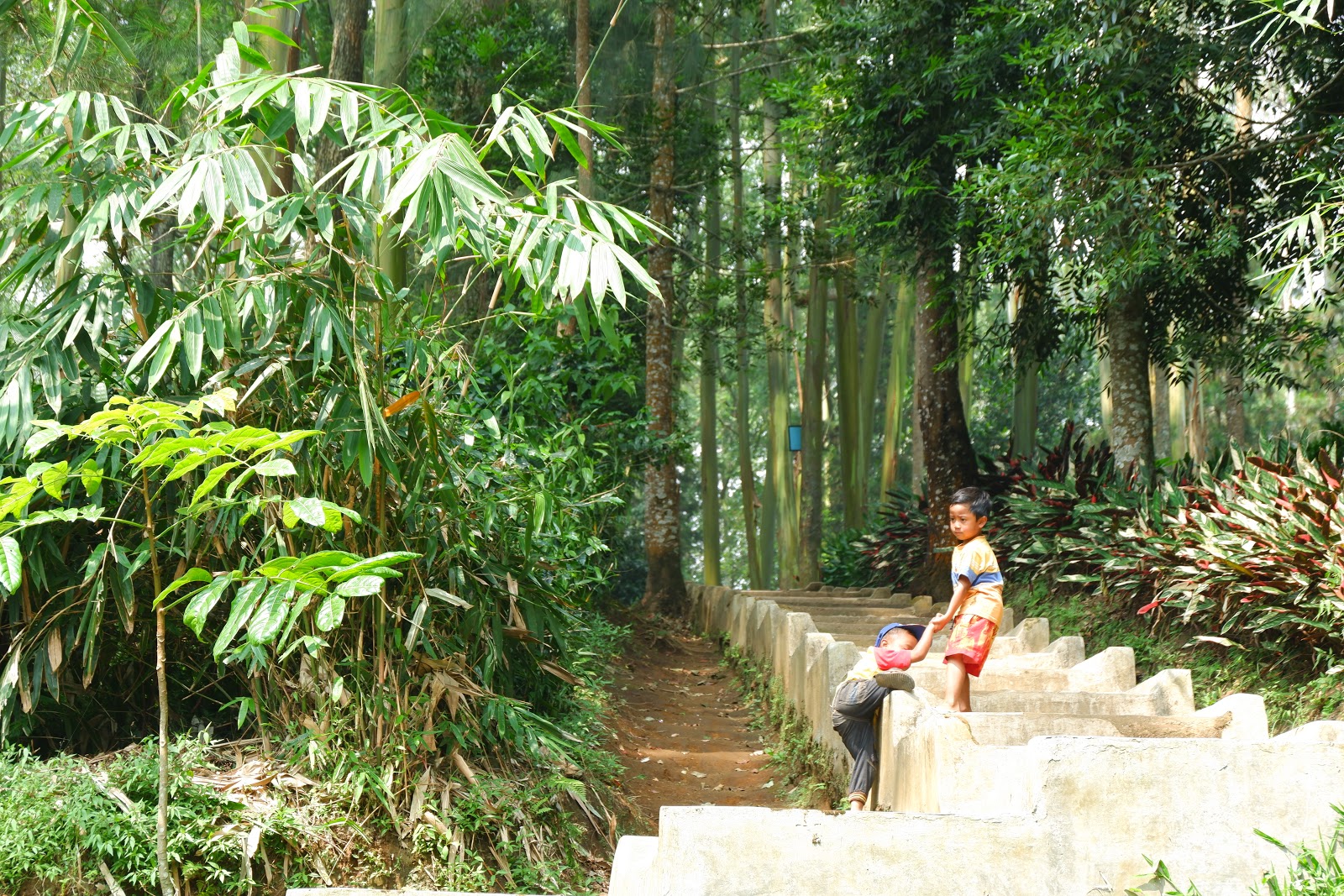 DSCF4795.JPG