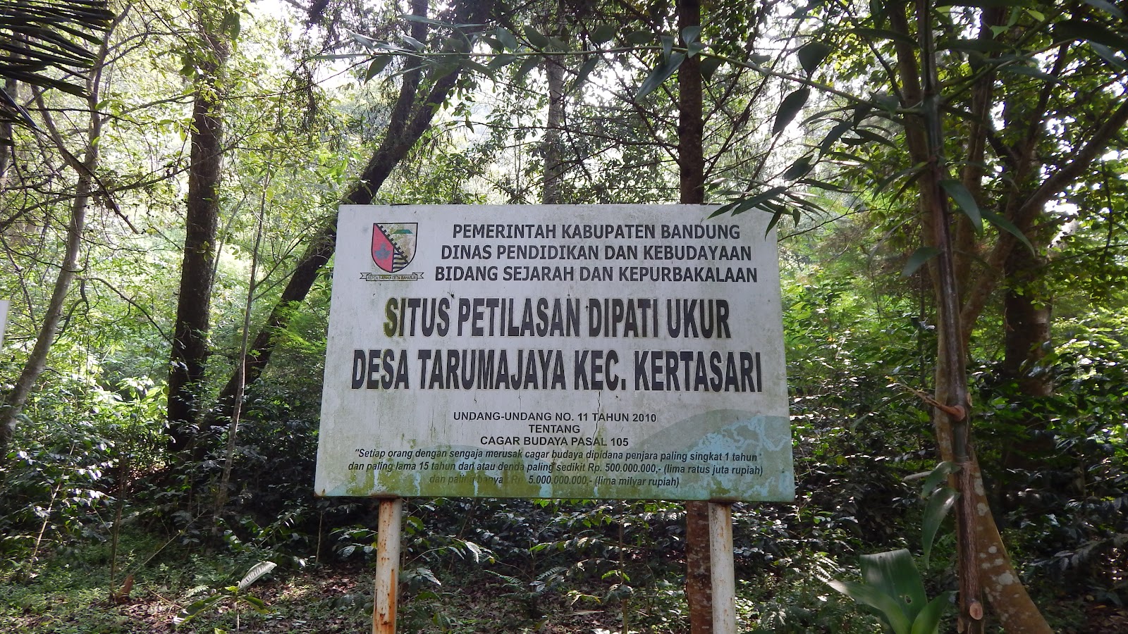 DSCN8146.JPG