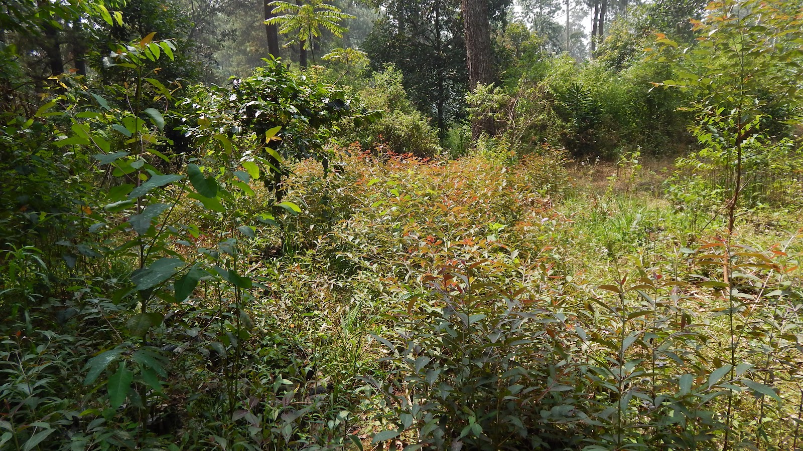 DSCN8115.JPG