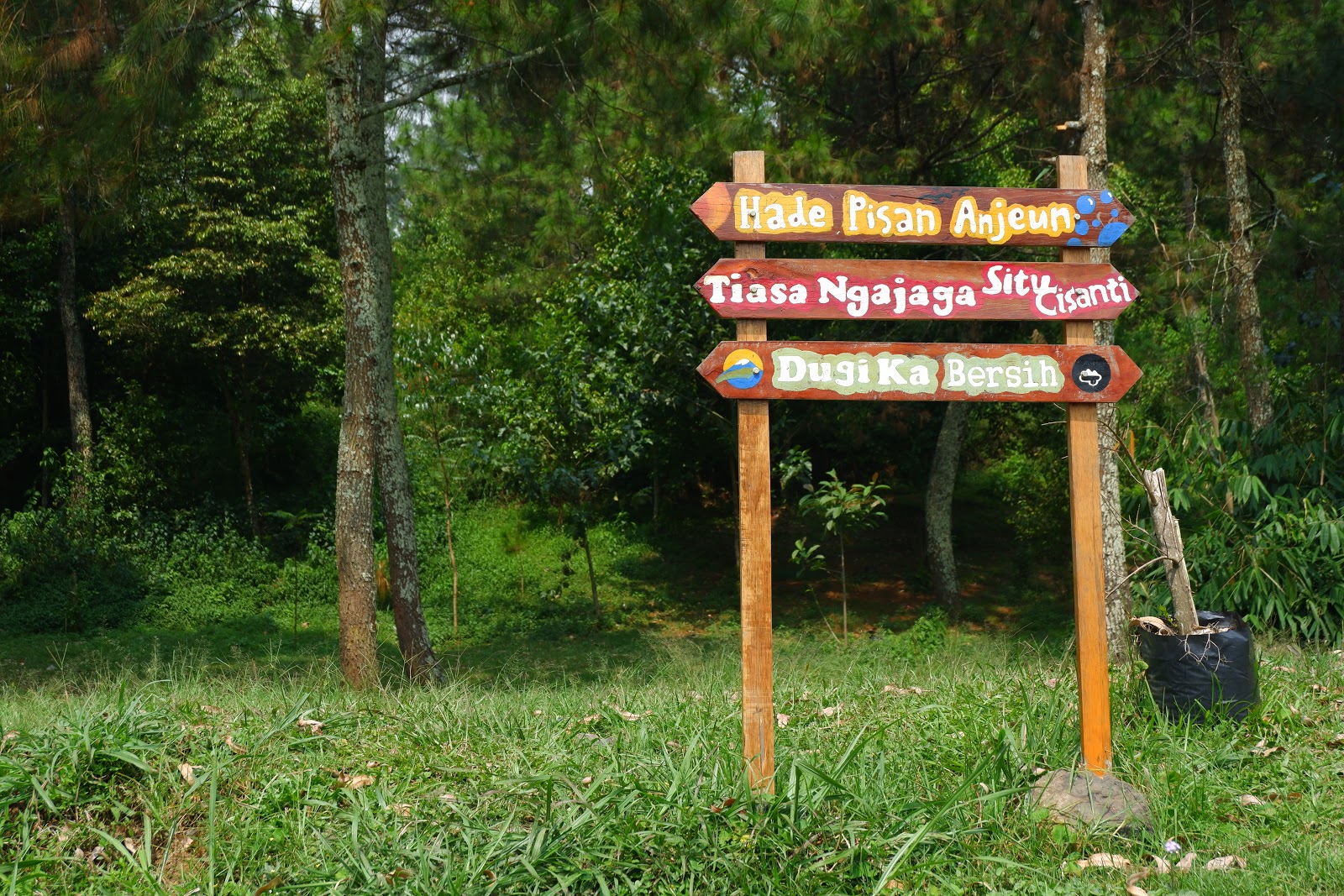 DSCF4765.JPG