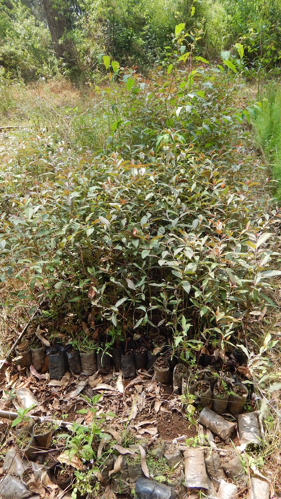 DSCN8126.JPG