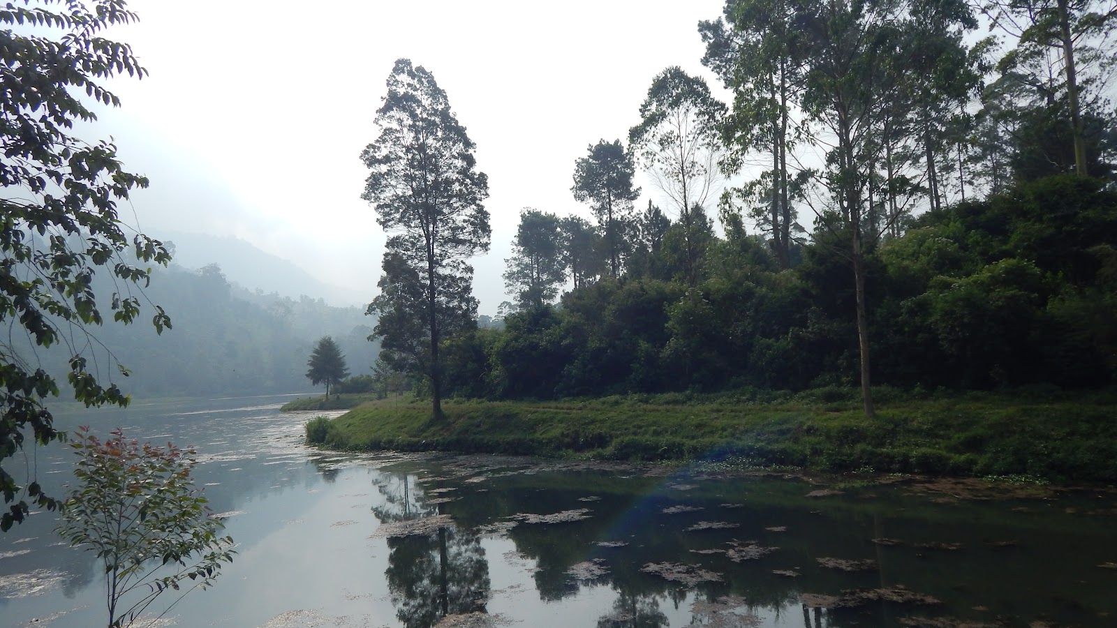 DSCN8256.JPG
