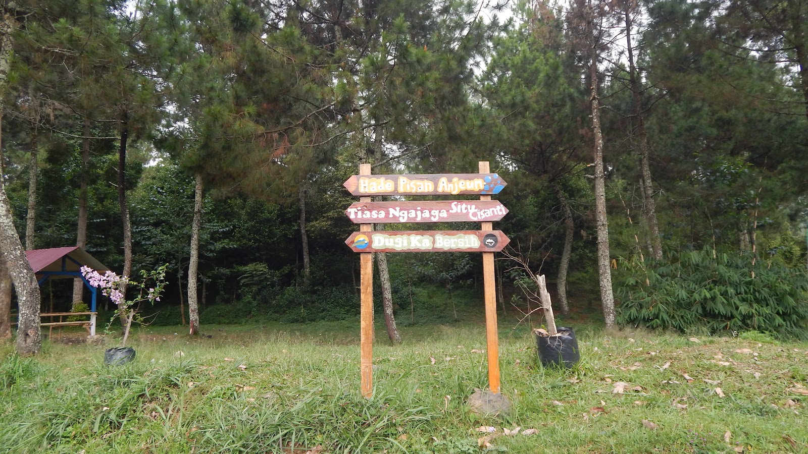 DSCN8300.JPG
