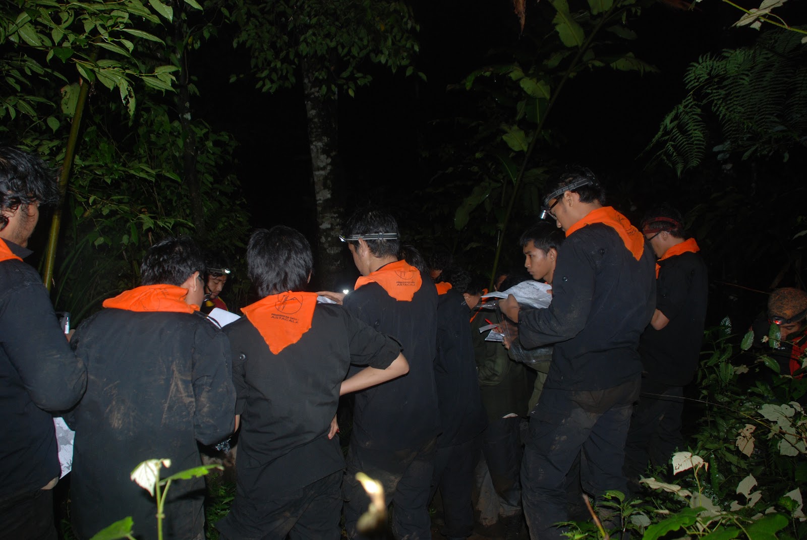 DSC_0422.JPG
