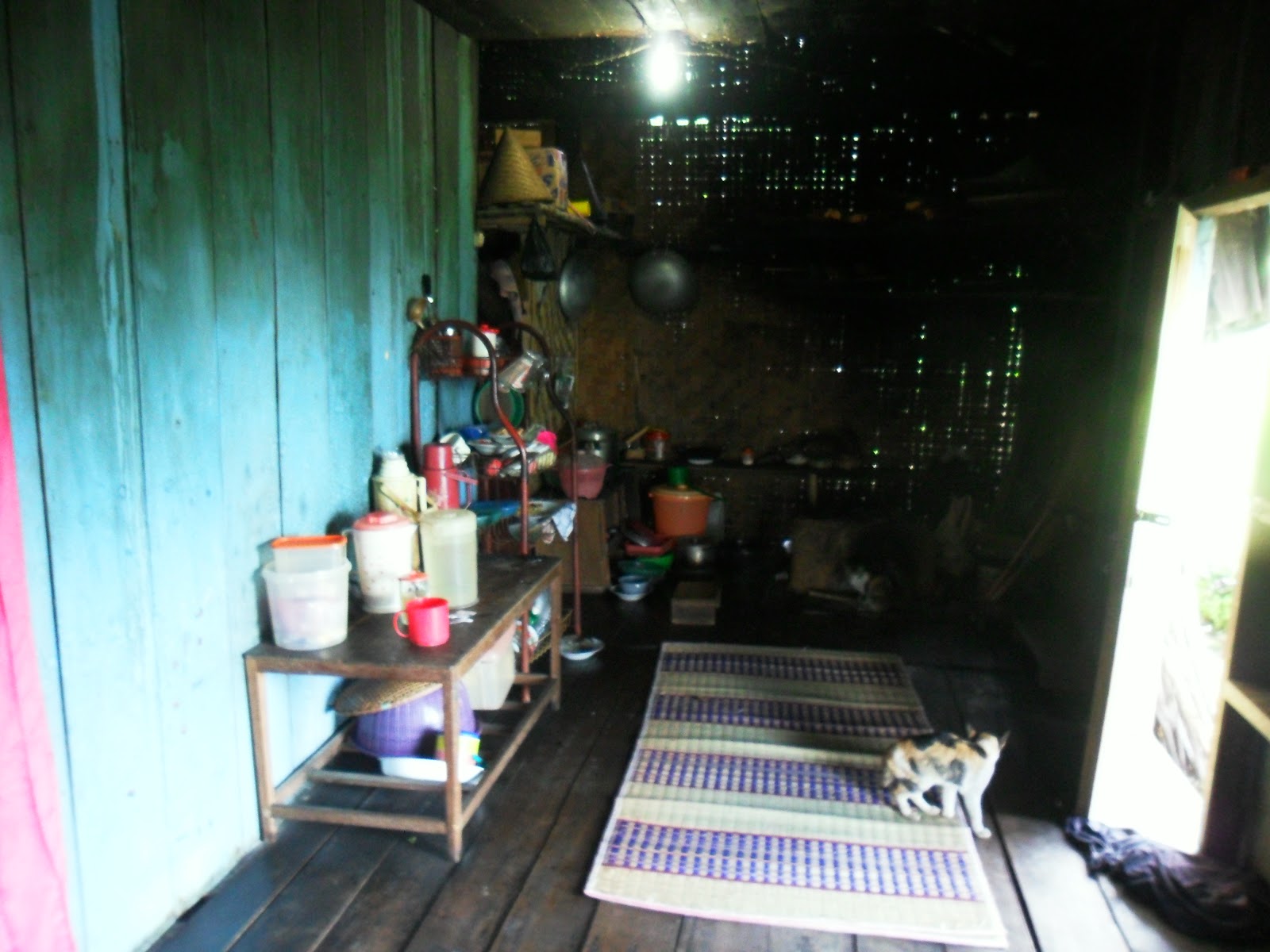 SAM_0704.JPG
