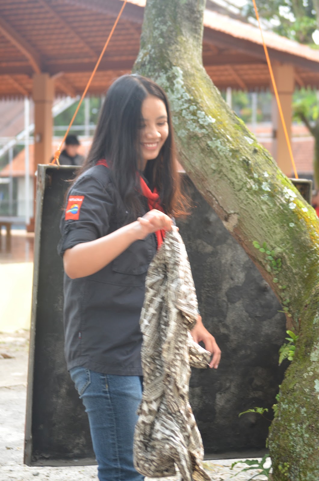 DSC_6179.JPG