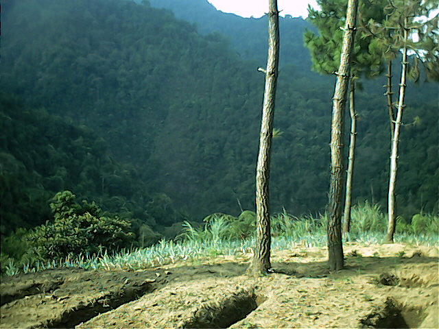 Ciremai, 20-23 September 2003 1 - 059.jpg