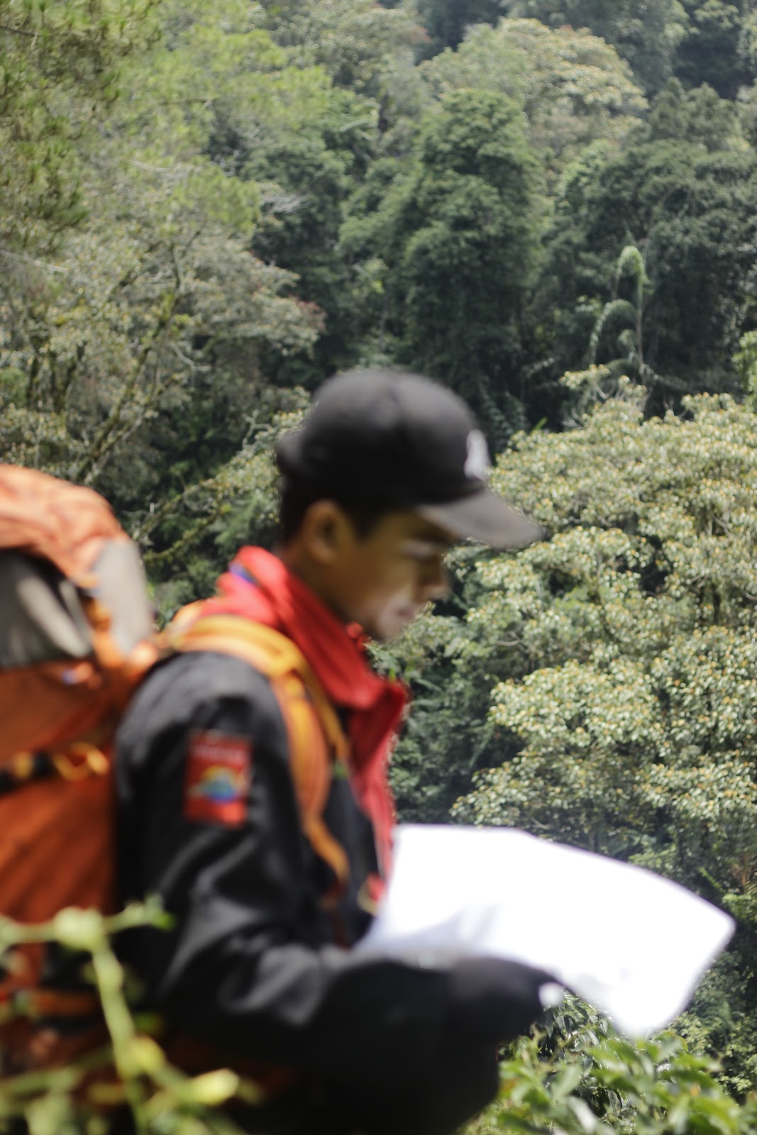 _MG_6652.JPG