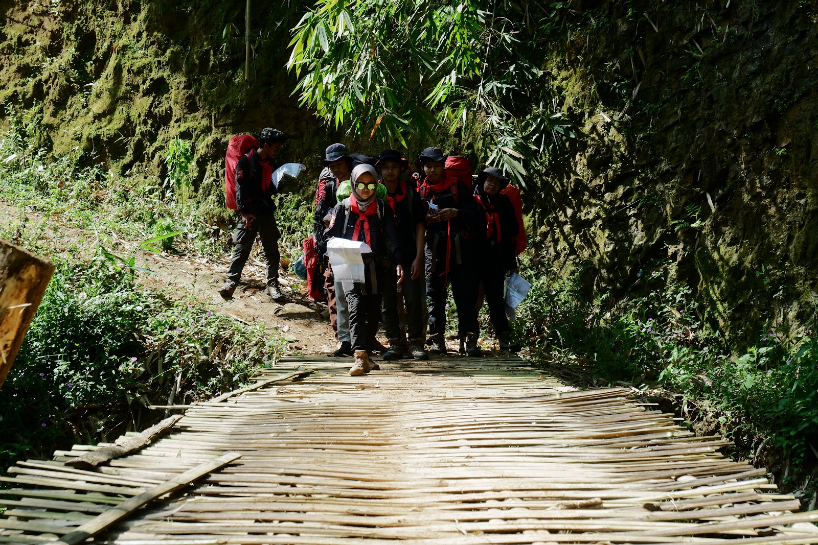 DSCF6448.JPG