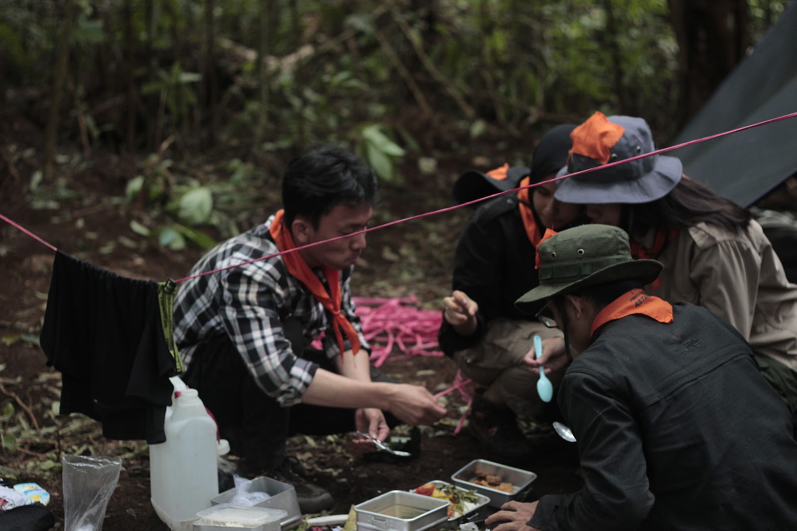 _MG_0008.JPG