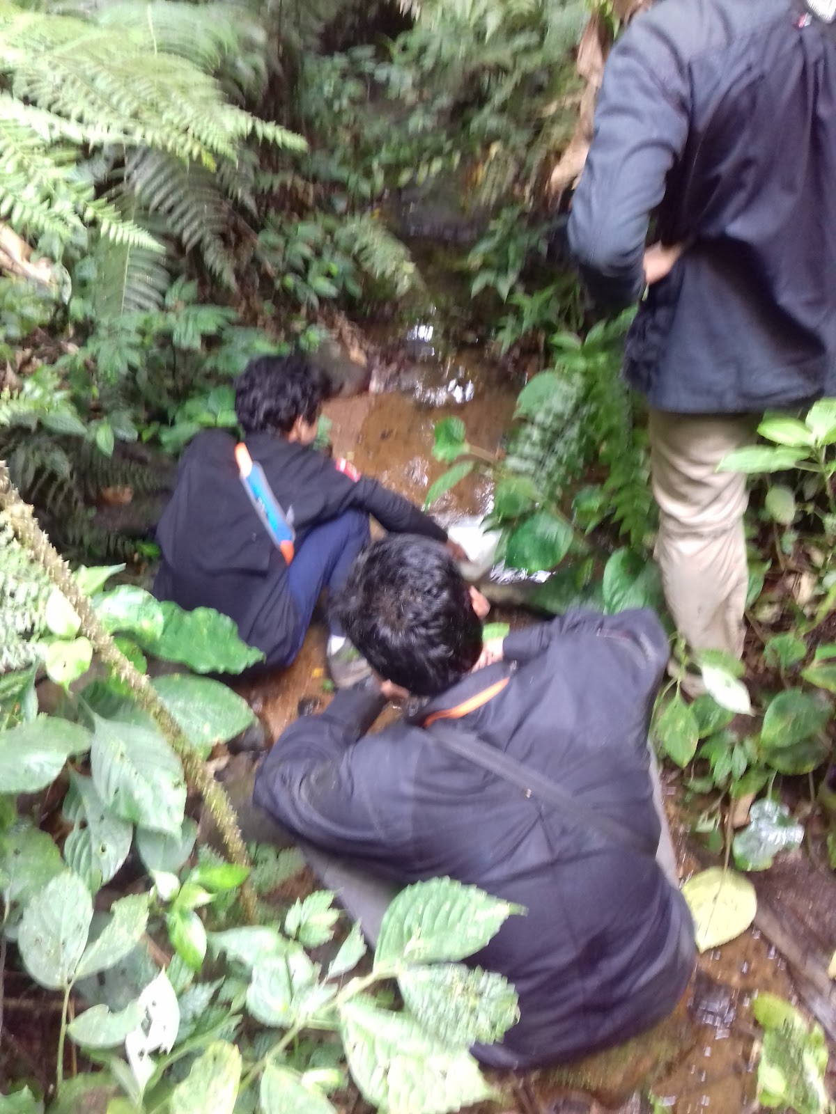 20151031_134053.jpg