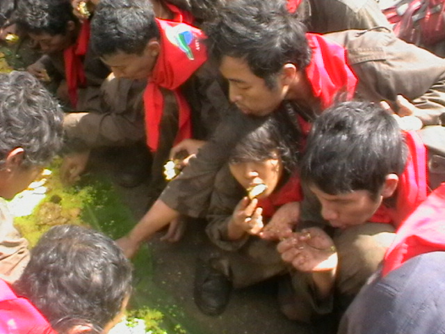 IMGA0019.JPG