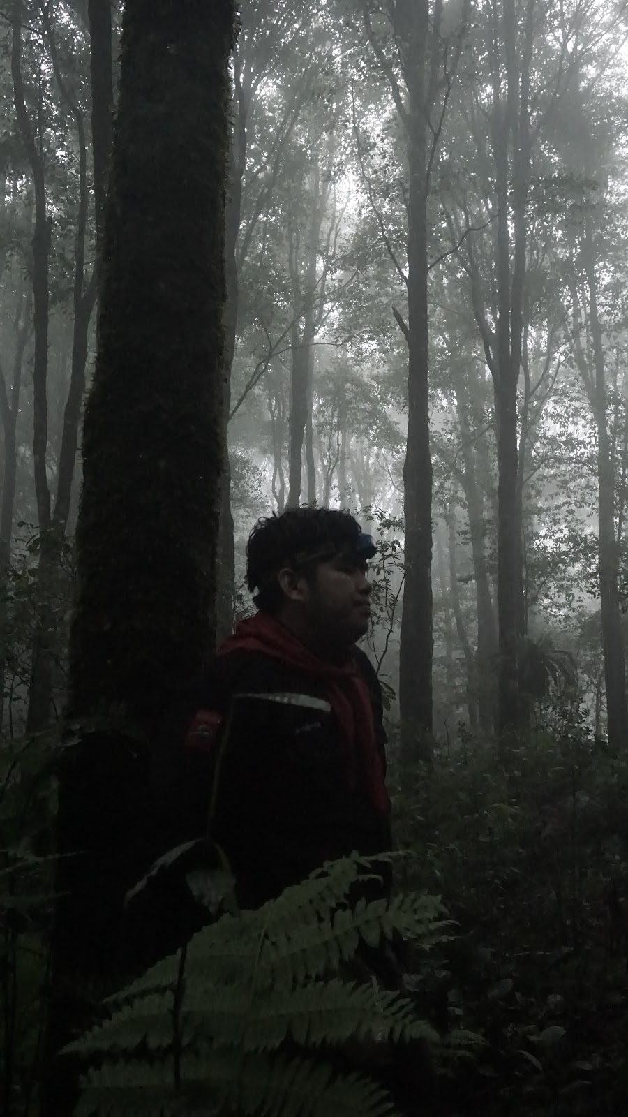 DSC09039.JPG