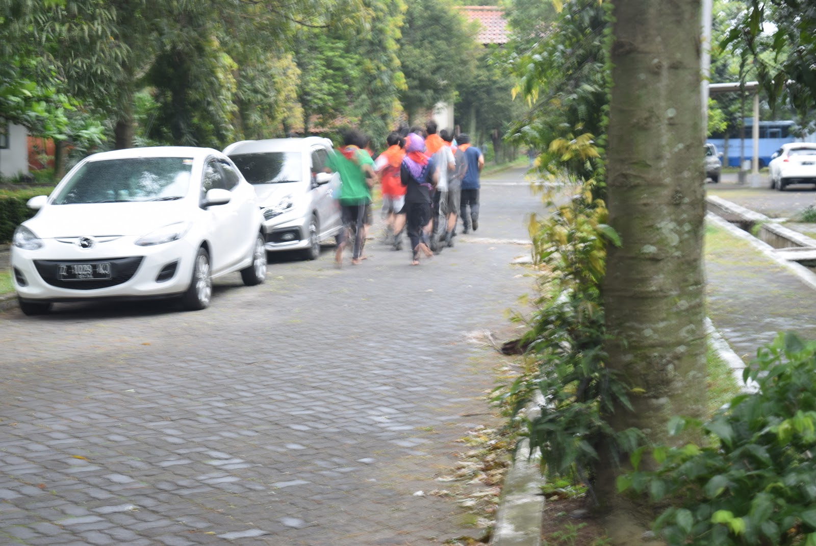 DSC_0016.JPG
