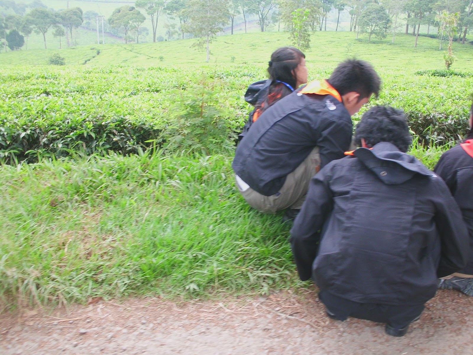 CIMG0774.JPG
