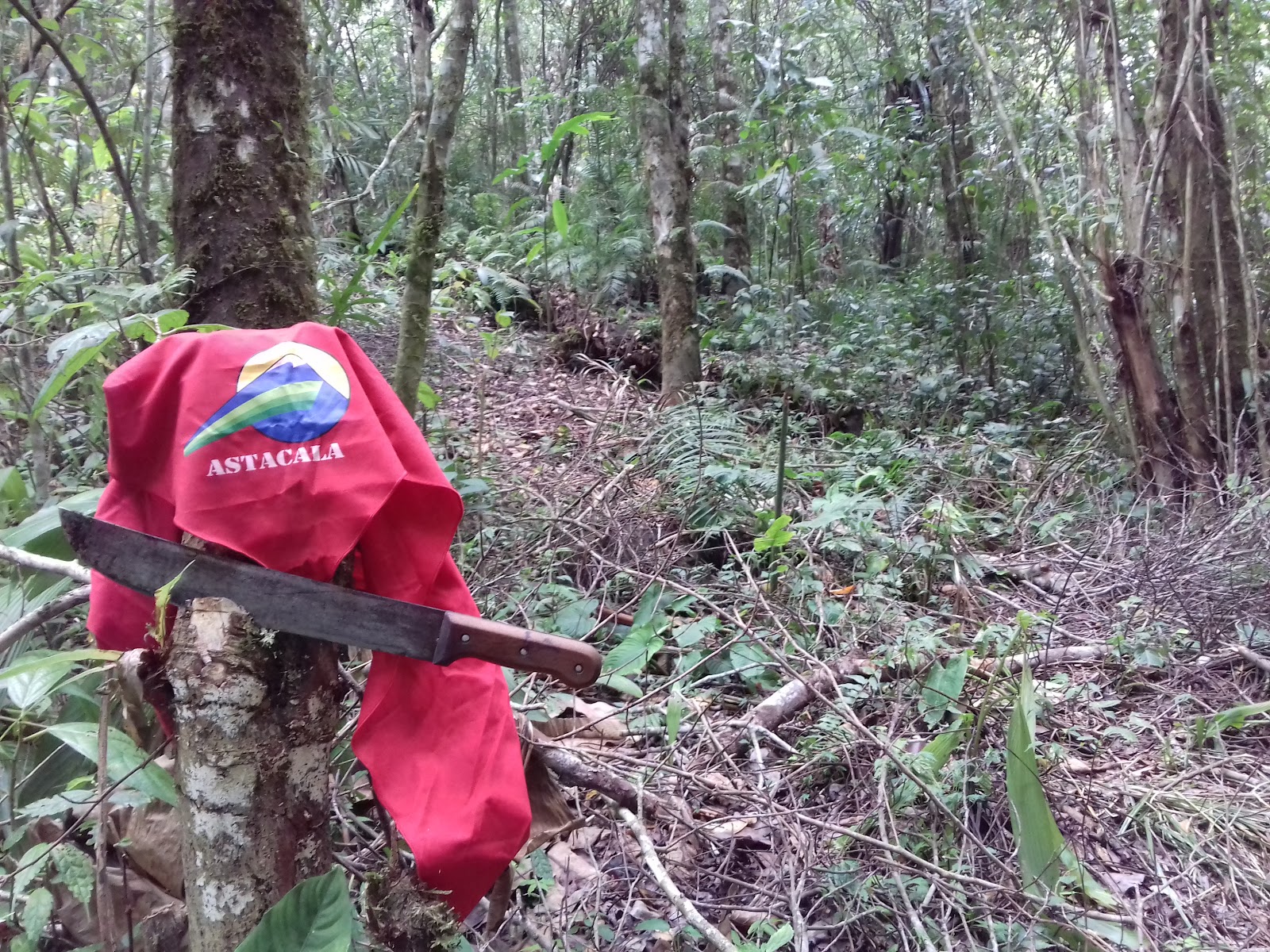 20151031_121544.jpg