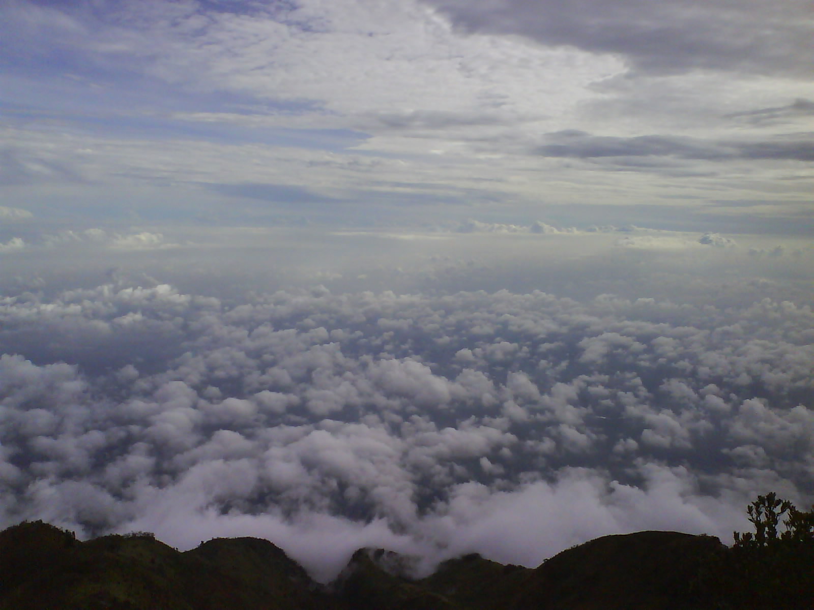 DSC01623.JPG