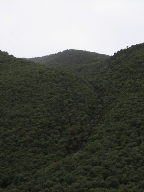 IMG_0063.JPG
