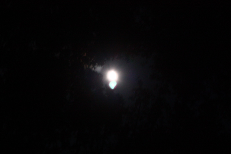 IMG_1630.JPG