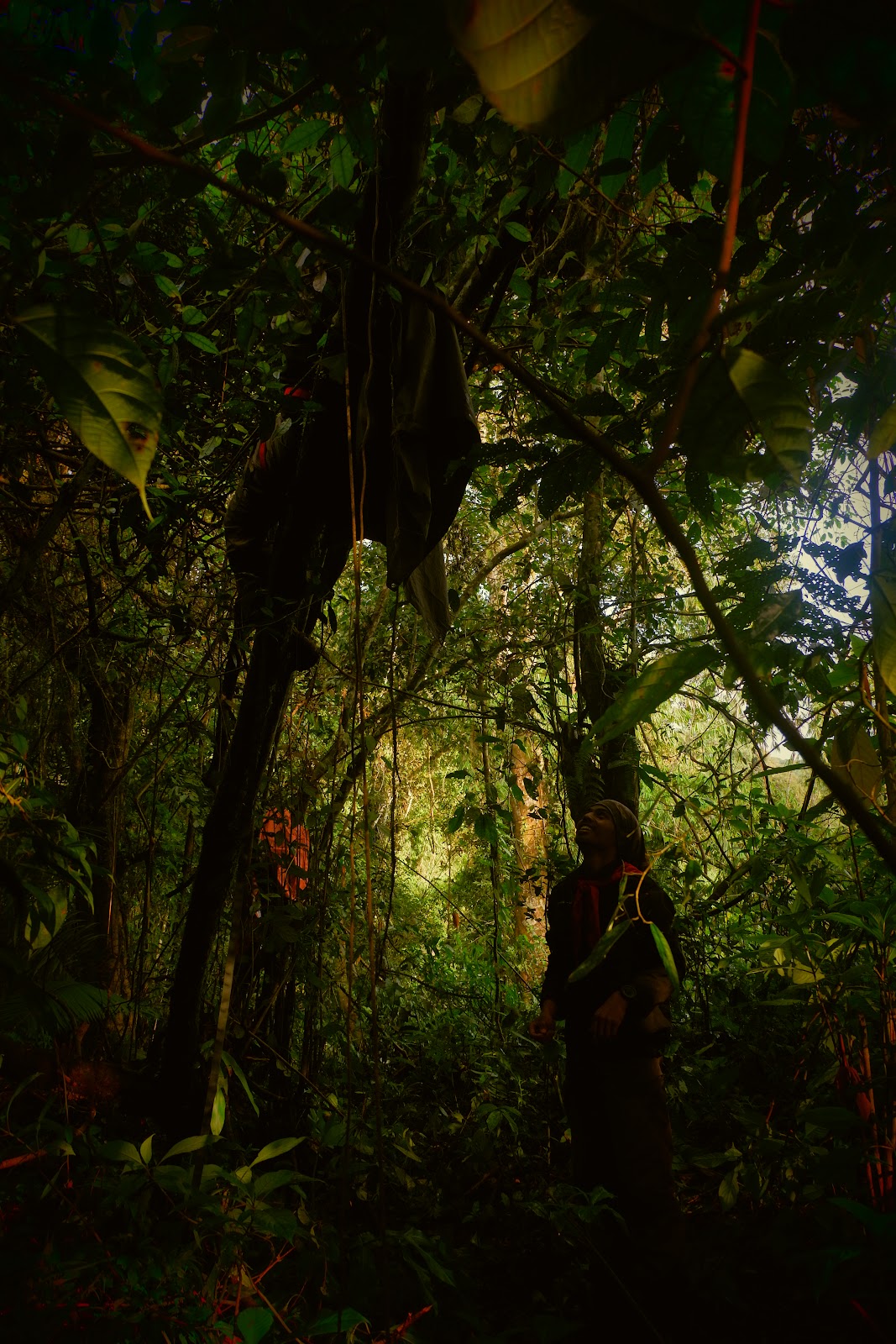 DSCF6535.JPG
