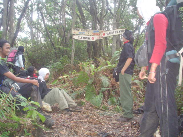 DSC01564.JPG