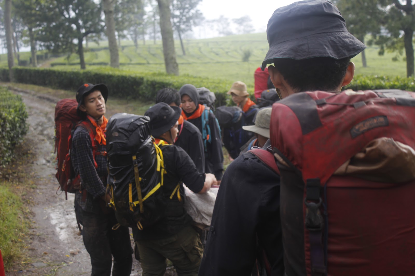 _MG_3146.JPG