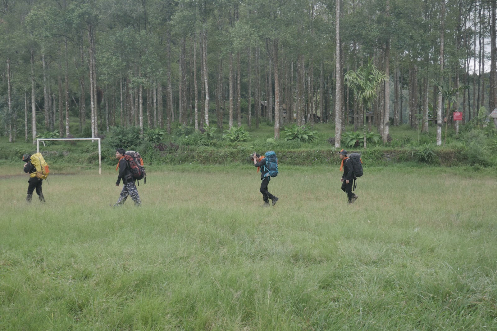 P2070430.JPG