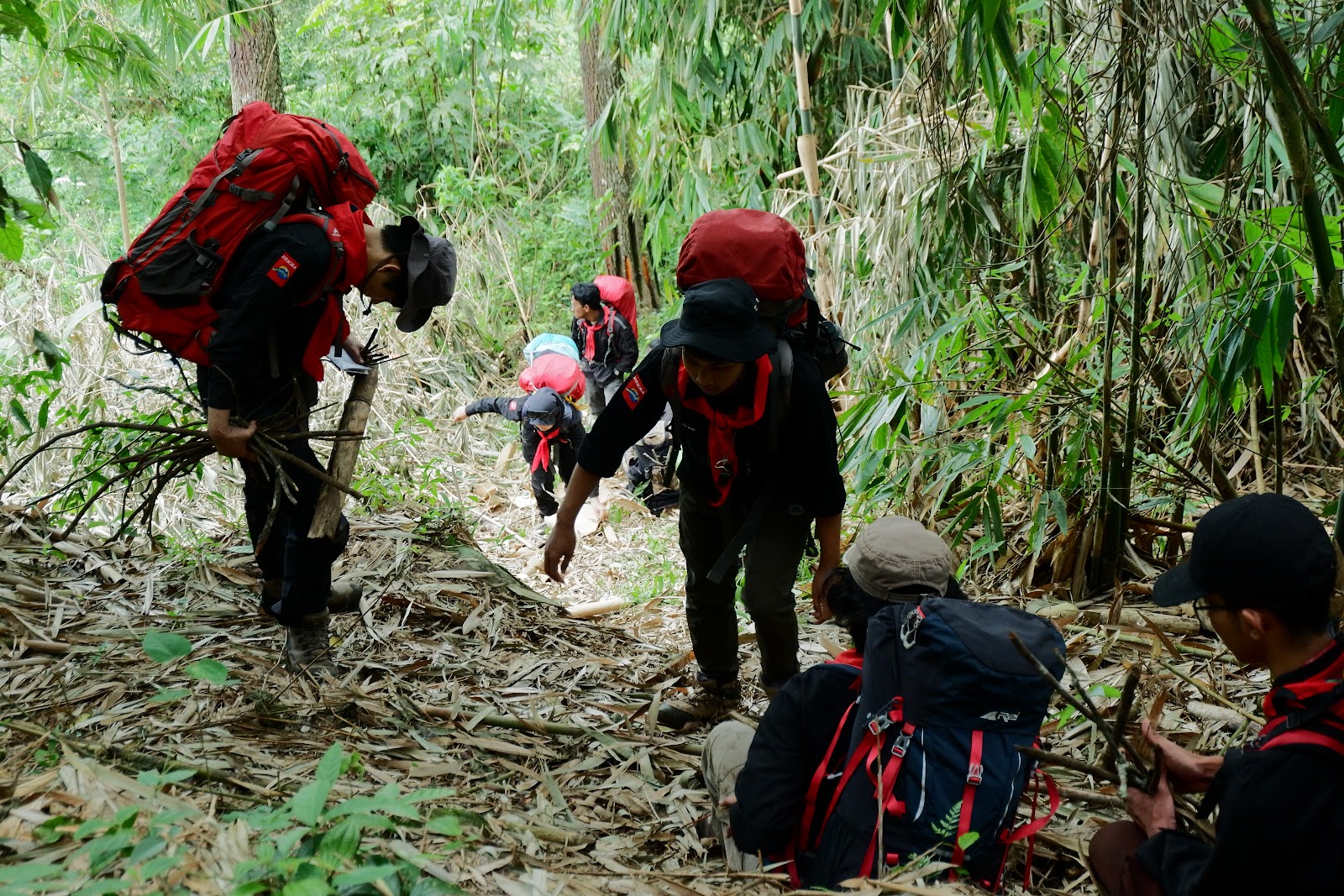 DSCF6478.JPG