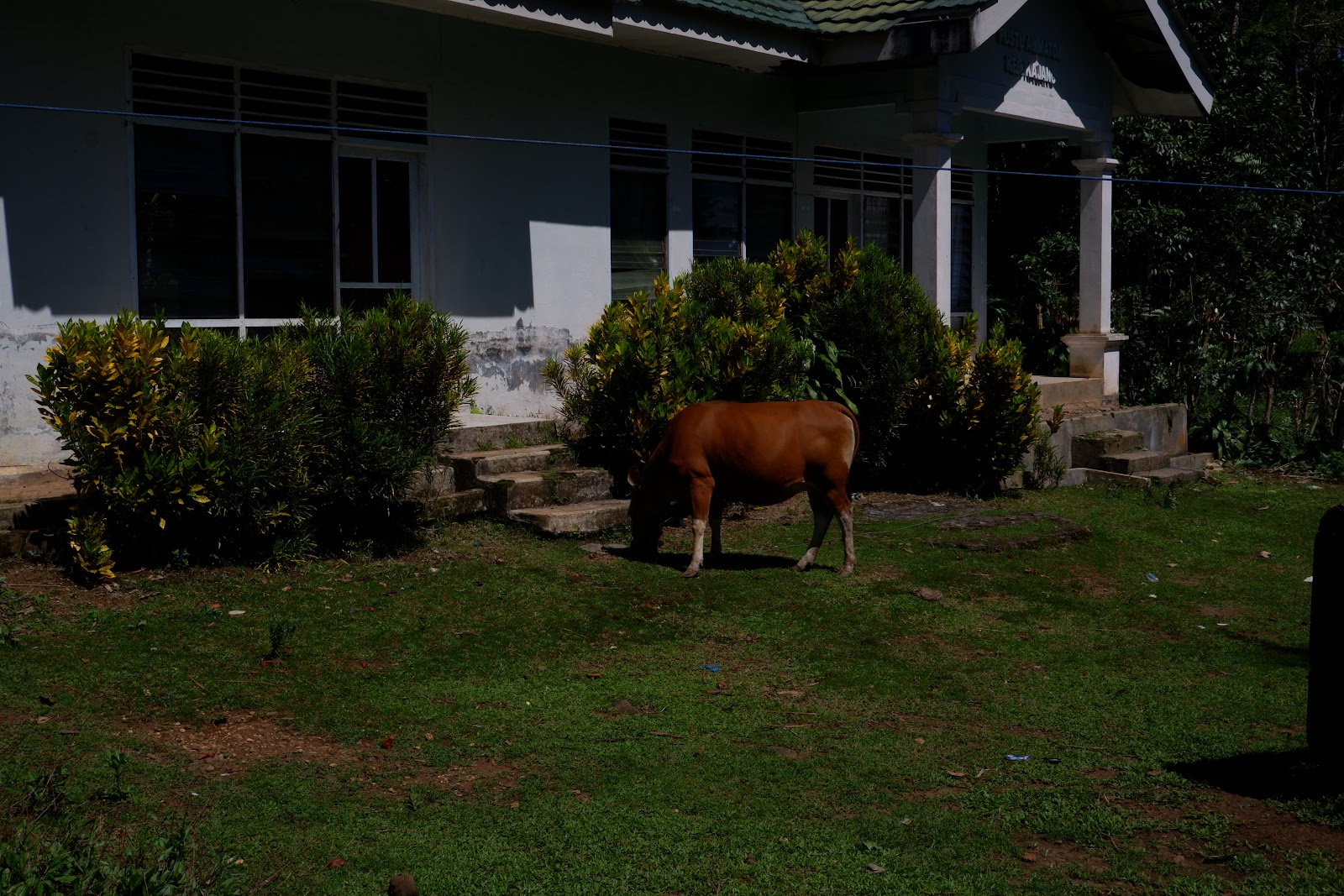 DSCF2124.JPG