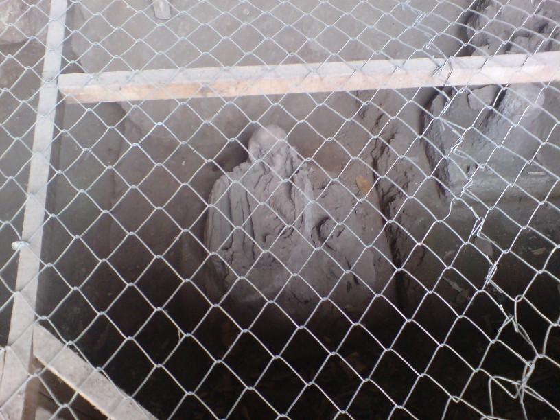 DSC00110.jpg