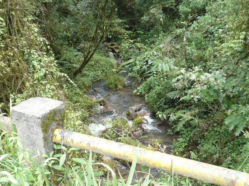 P1040880.JPG