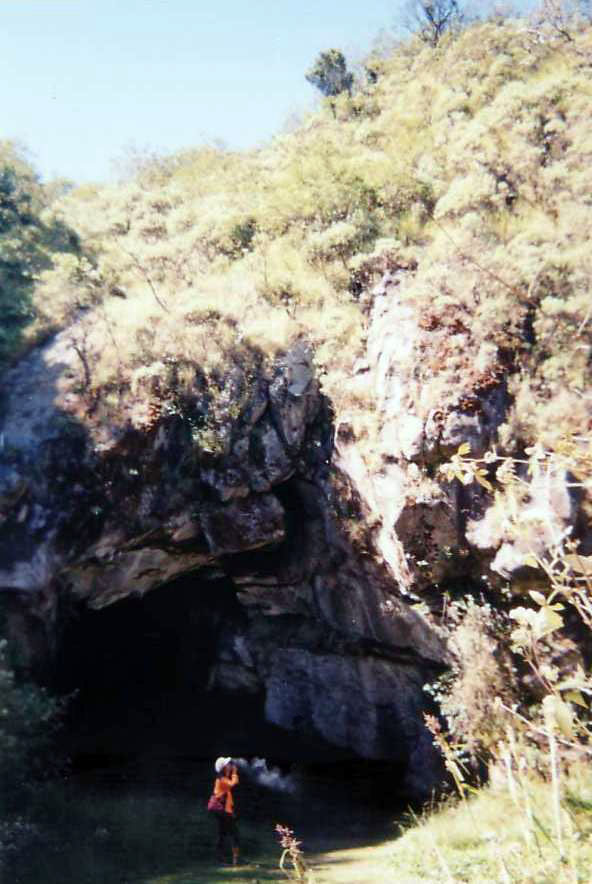goa walet.jpg