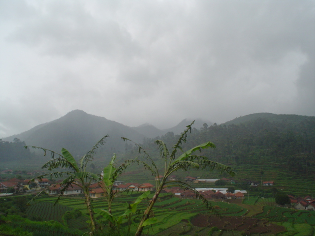 DSC00233.JPG