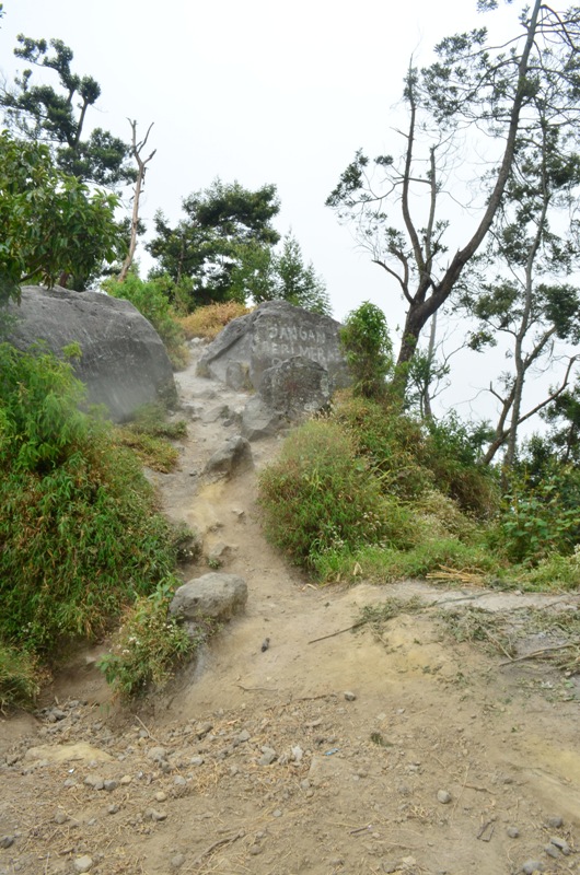 DSC_0012.JPG