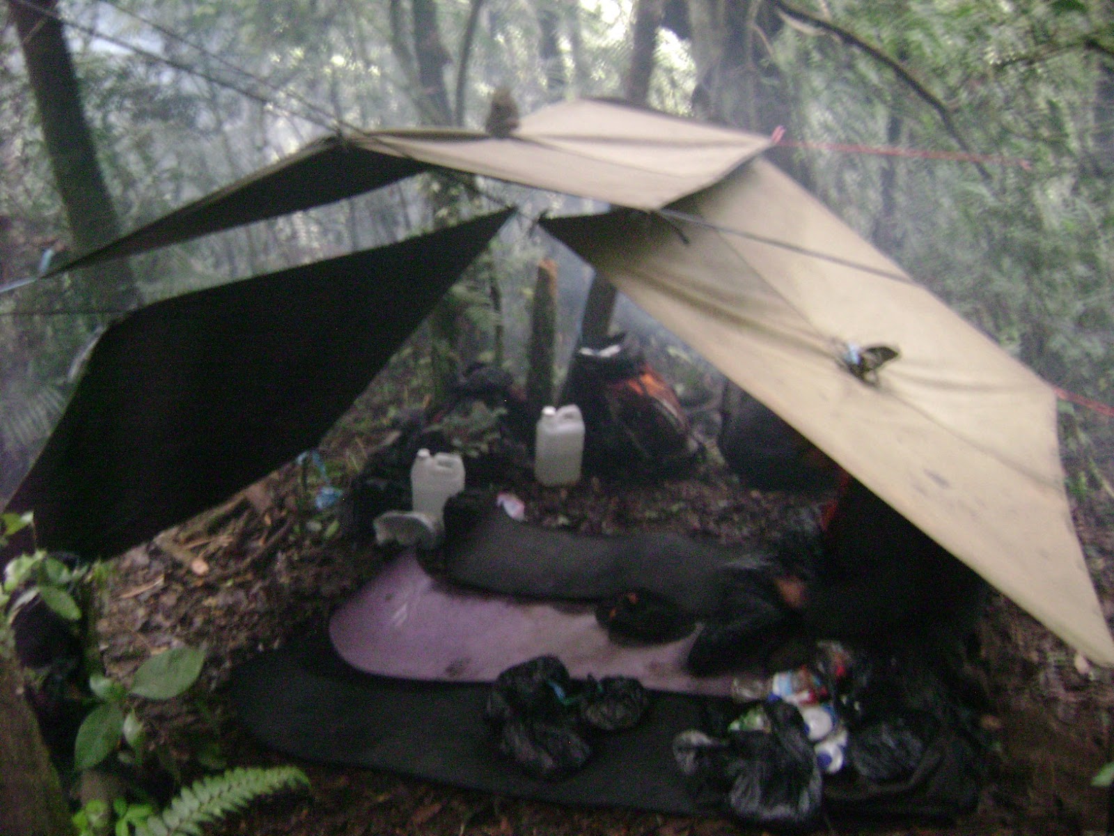 DSC07935.JPG