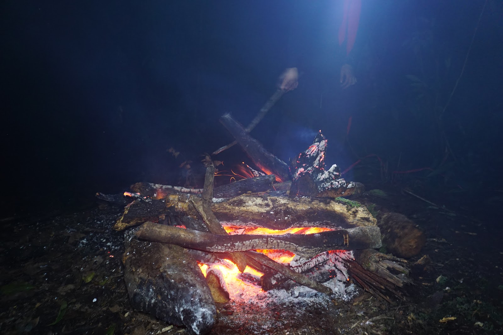 DSC07960.JPG