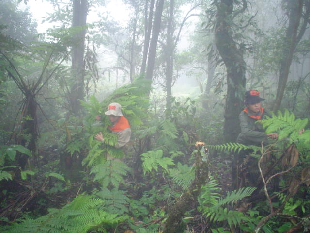 DSC02046.JPG