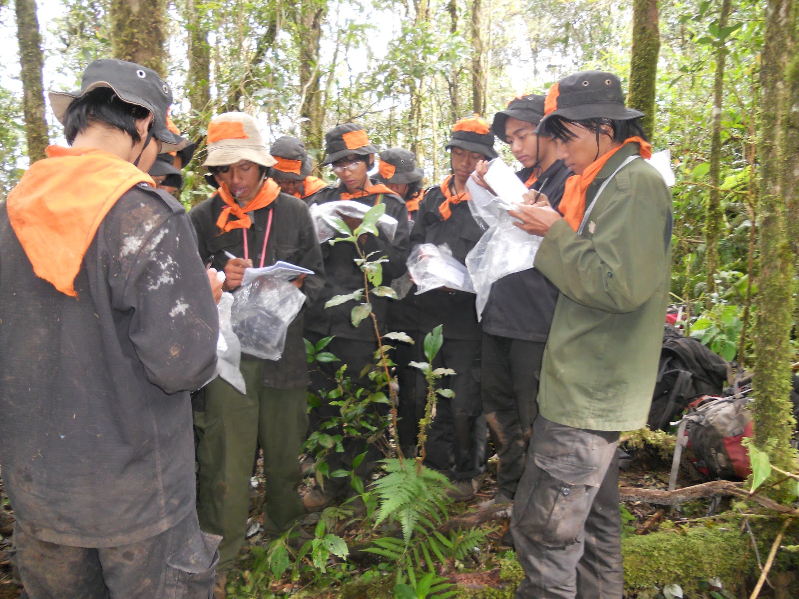 DSCN1536.JPG