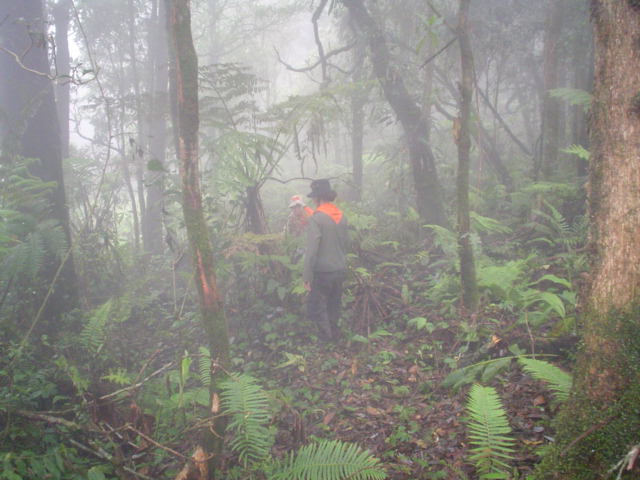 DSC02043.JPG
