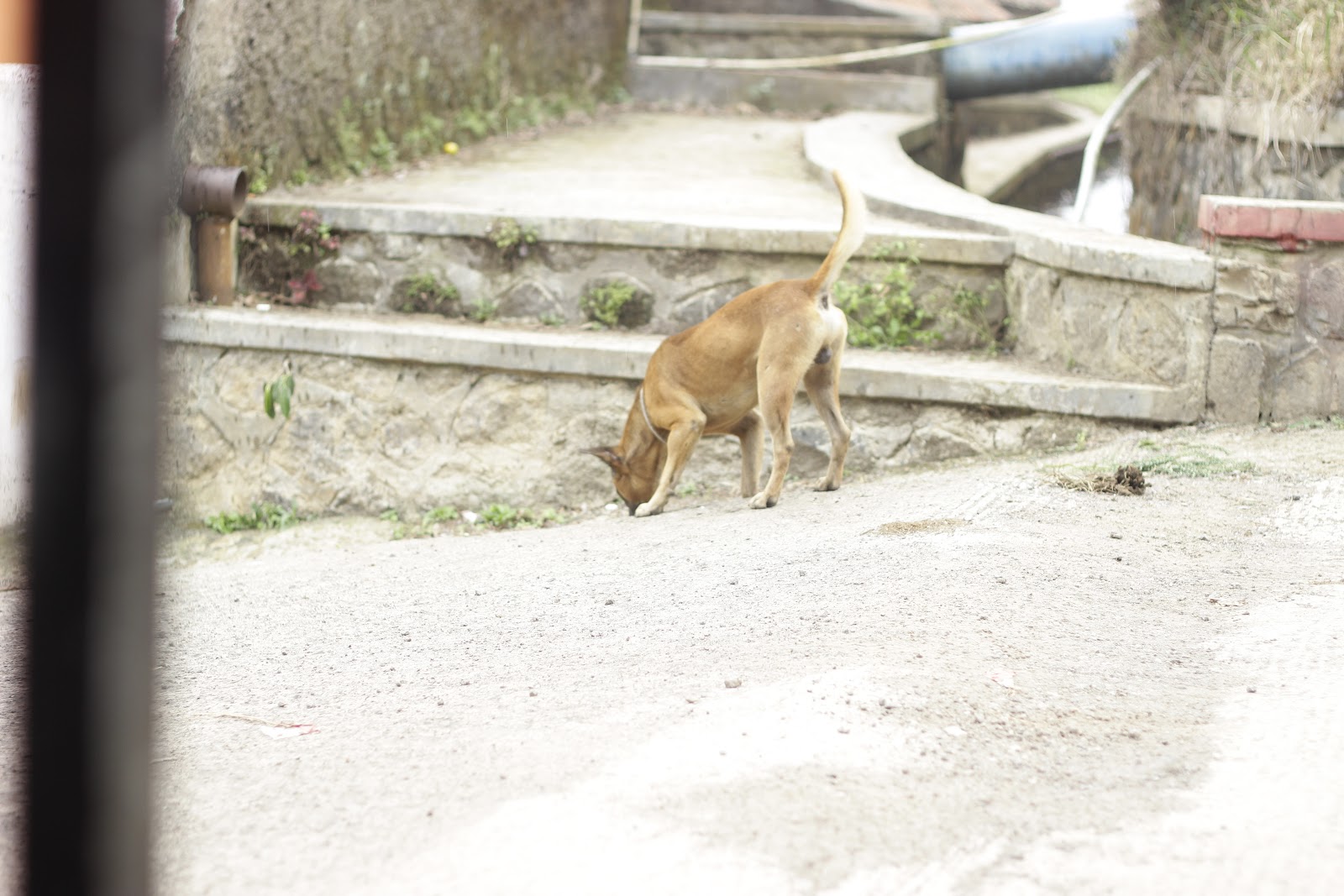 _MG_6711.JPG