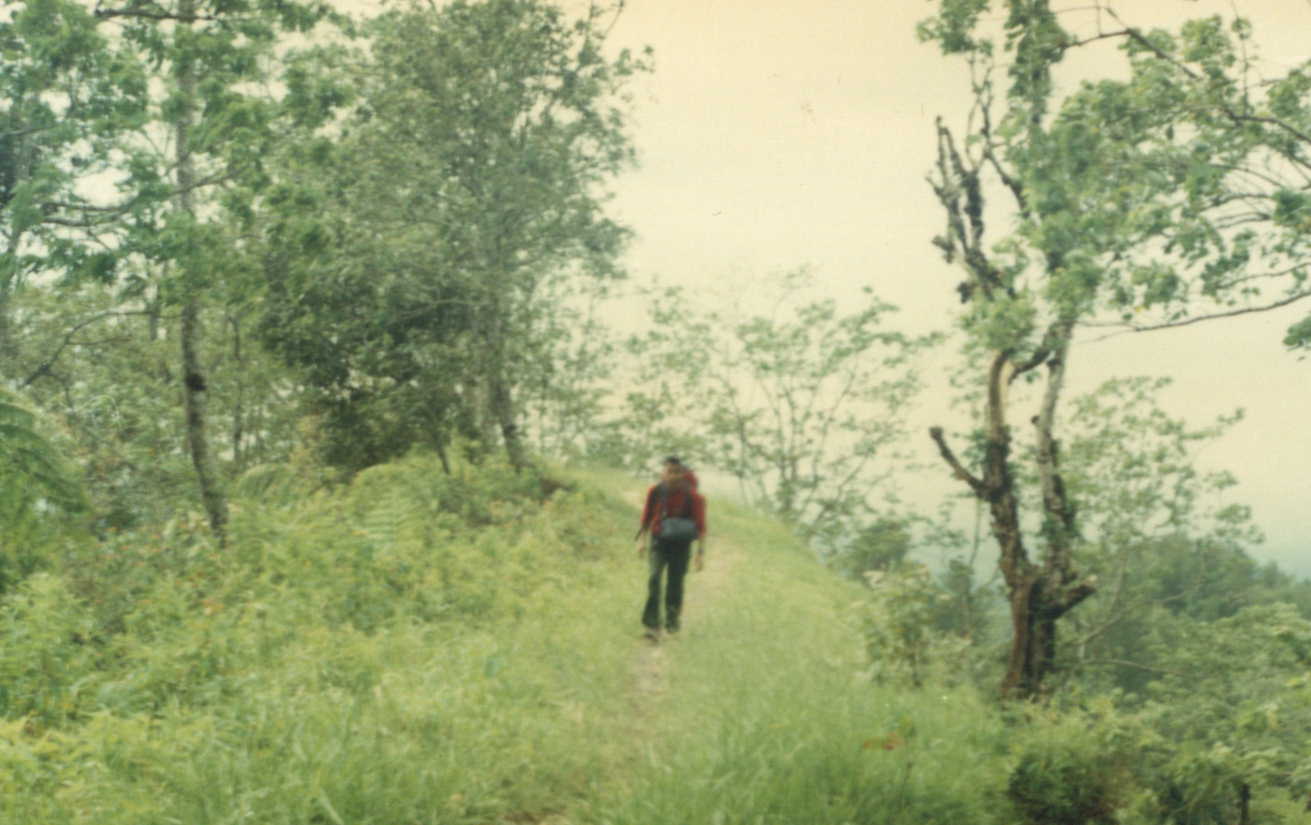 2505.JPG