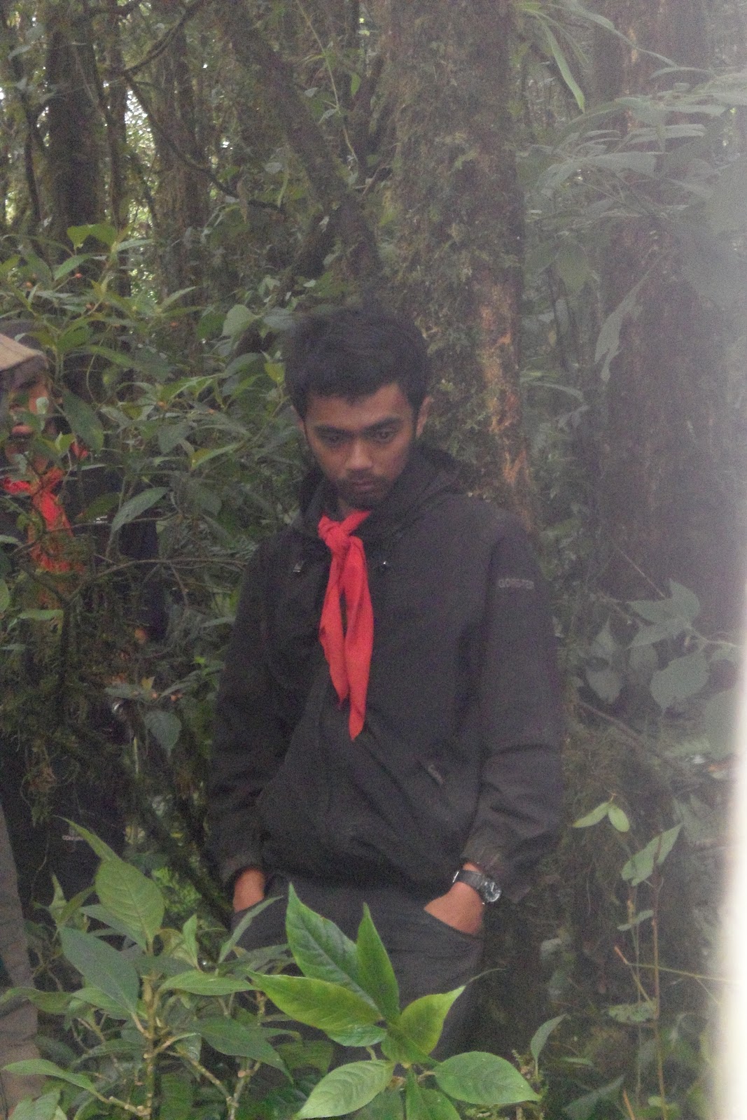 SAM_0717.JPG