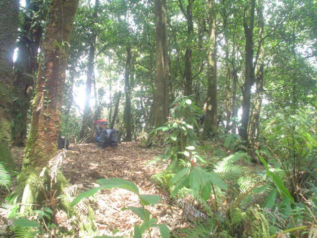 DSC01522.JPG