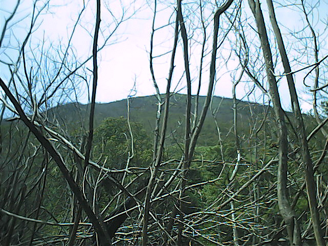 Ciremai, 20-23 September 2003 1 - 024.jpg