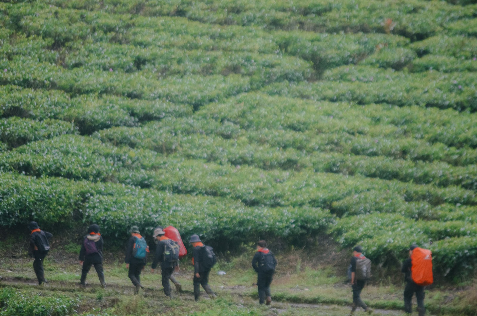 Mountaineering Course-144.jpg