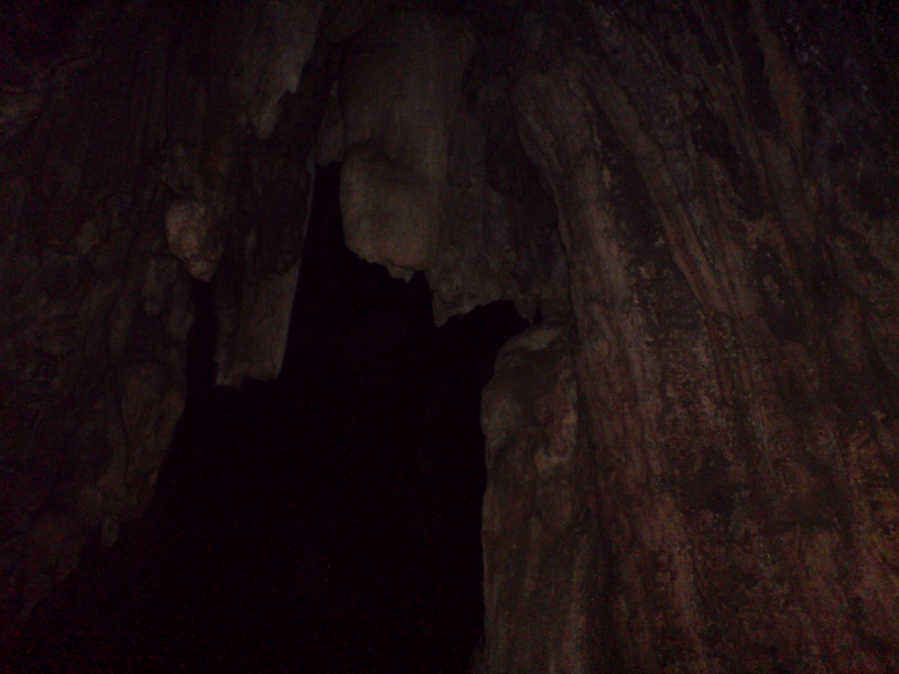DSC00114.jpg