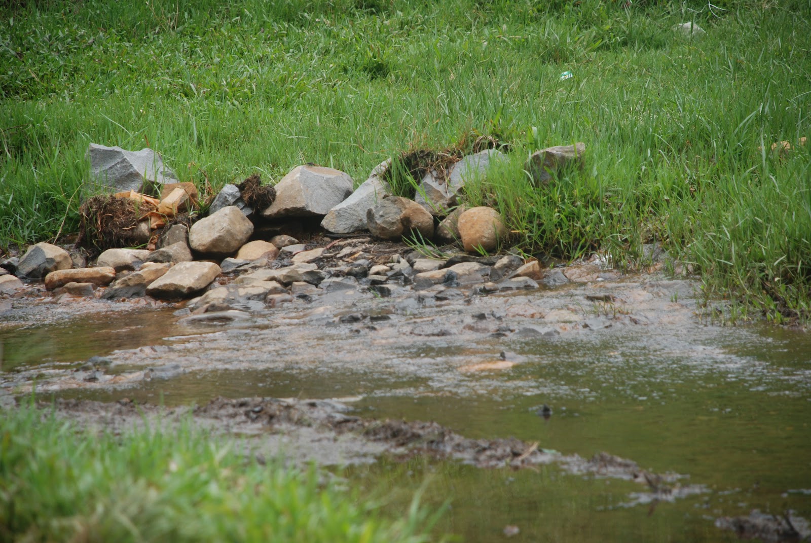 DSC_0464.JPG